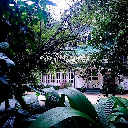 Surrey Bird Sanctuary & Holiday Resort Welimada Extérieur photo