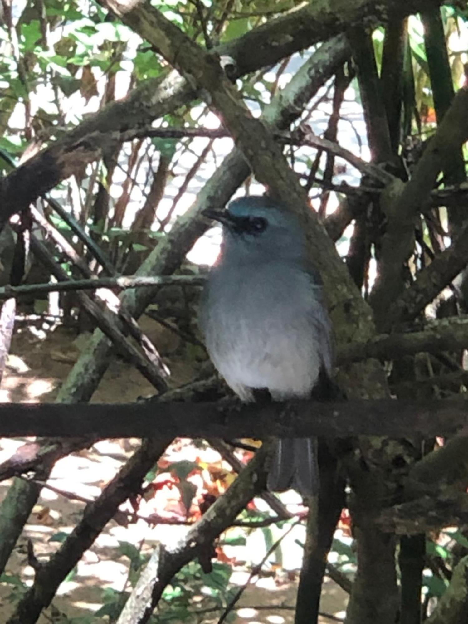Surrey Bird Sanctuary & Holiday Resort Welimada Extérieur photo