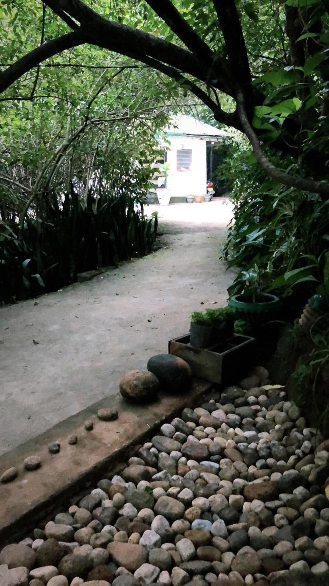 Surrey Bird Sanctuary & Holiday Resort Welimada Extérieur photo