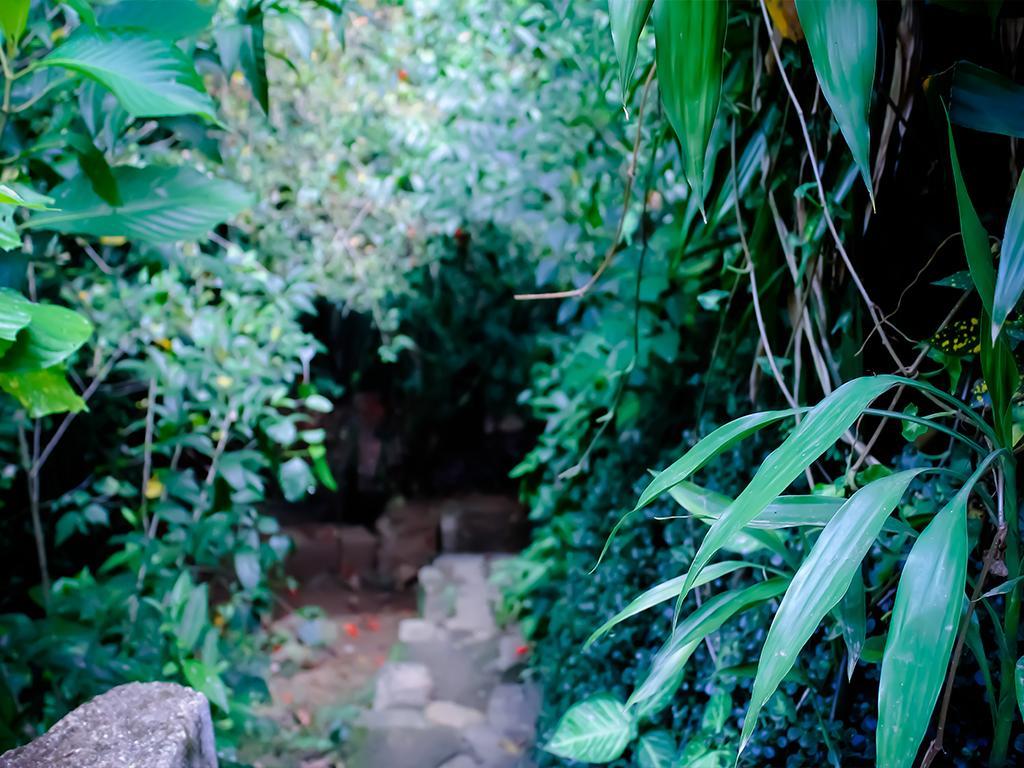 Surrey Bird Sanctuary & Holiday Resort Welimada Extérieur photo