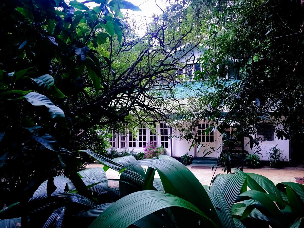 Surrey Bird Sanctuary & Holiday Resort Welimada Extérieur photo